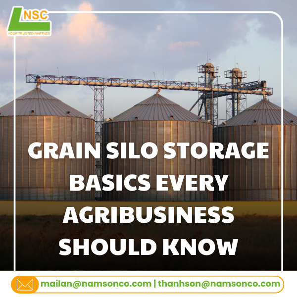 Grain silo storage basics every agribusiness should know
